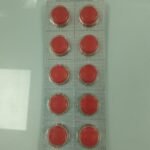 Migral x 10 Comprimidos